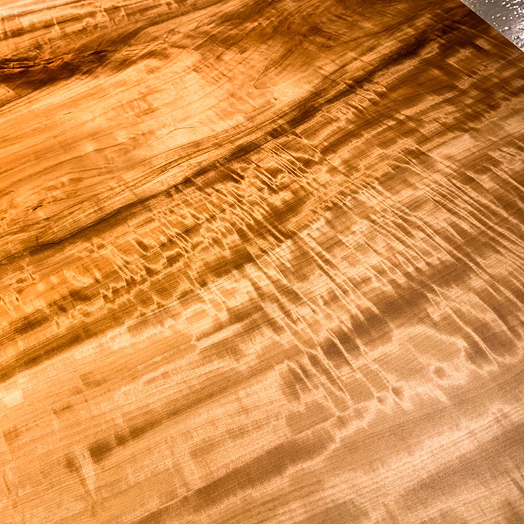 一枚板　トチ / 栃(杢)　K-GM-2110-C-1607　(W200cm)