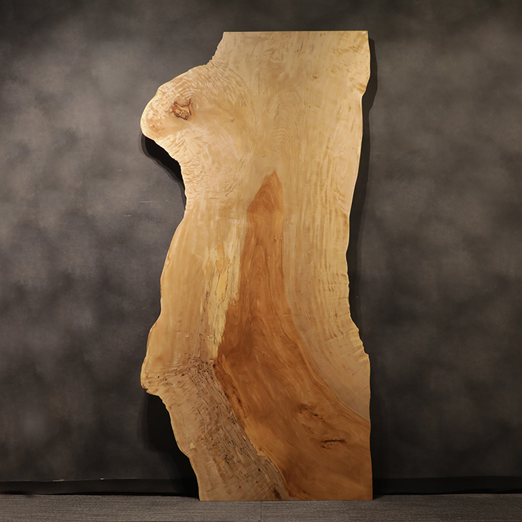 一枚板　トチ / 栃　CN-392-2711　(W300cm)