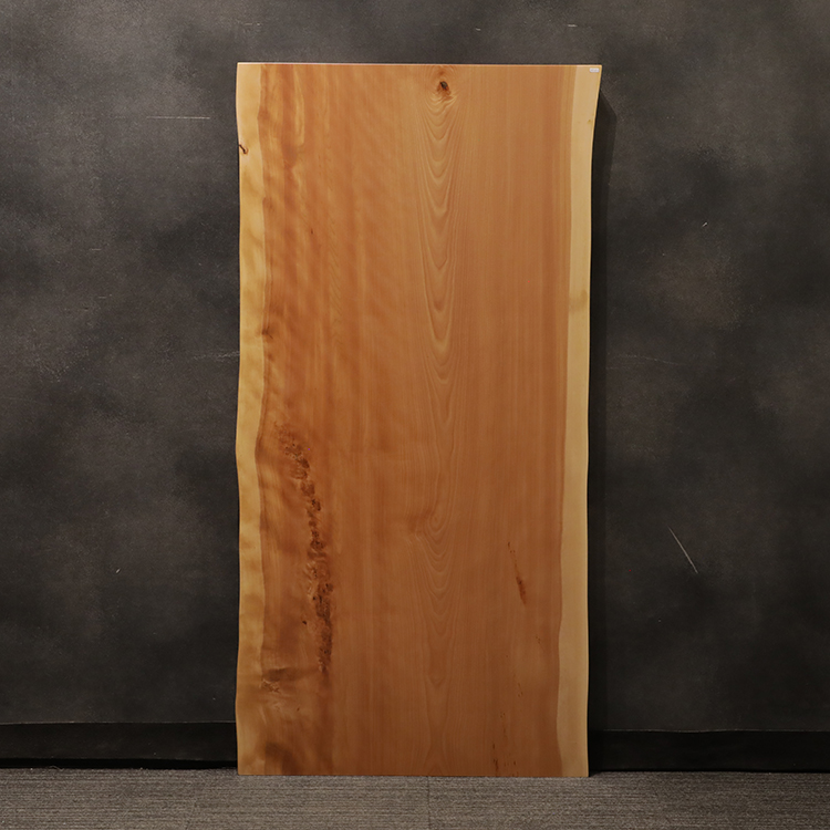 一枚板　マカバ / 真樺　5351-28-2　(W160cm)