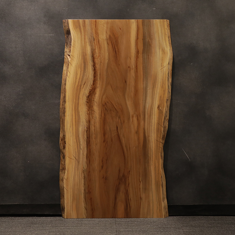 一枚板　クス / 楠　2896-2-1　(W160cm)