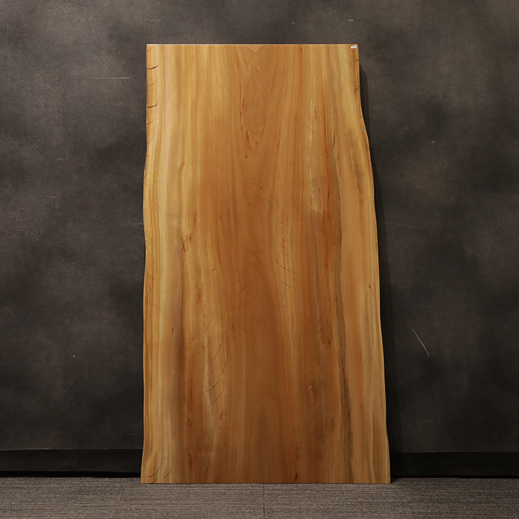 一枚板　クス / 楠　2896-9-1　(W160cm)