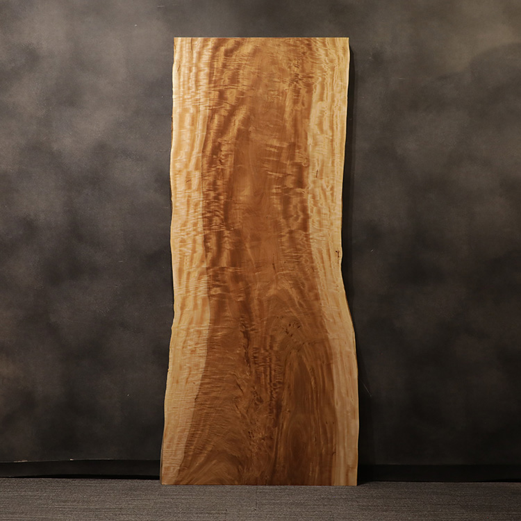 一枚板　トチ / 栃(杢)　K-HN-2203-906　(W240cm)