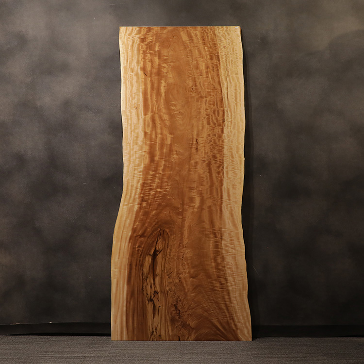 一枚板　トチ / 栃(杢)　K-HN-2203-906　(W240cm)
