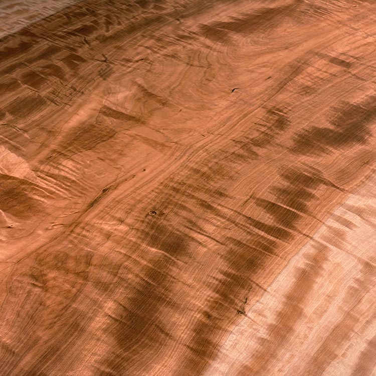 一枚板　トチ / 栃(杢)　K-HN-2203-906　(W240cm)