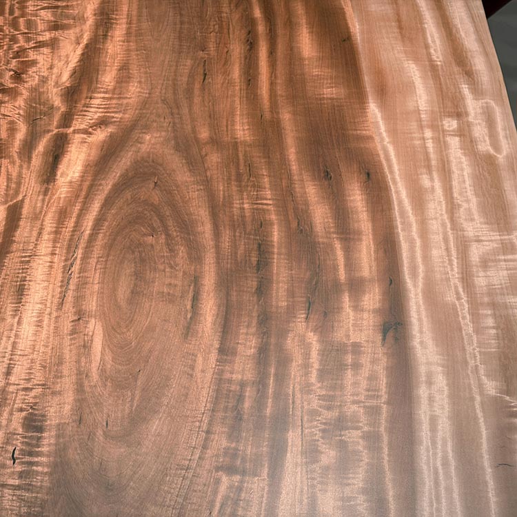 一枚板　トチ / 栃(杢)　K-HN-2203-906　(W240cm)