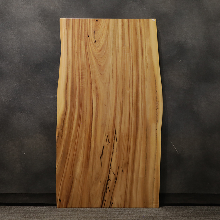一枚板　クス / 楠　256-5　(W160cm)