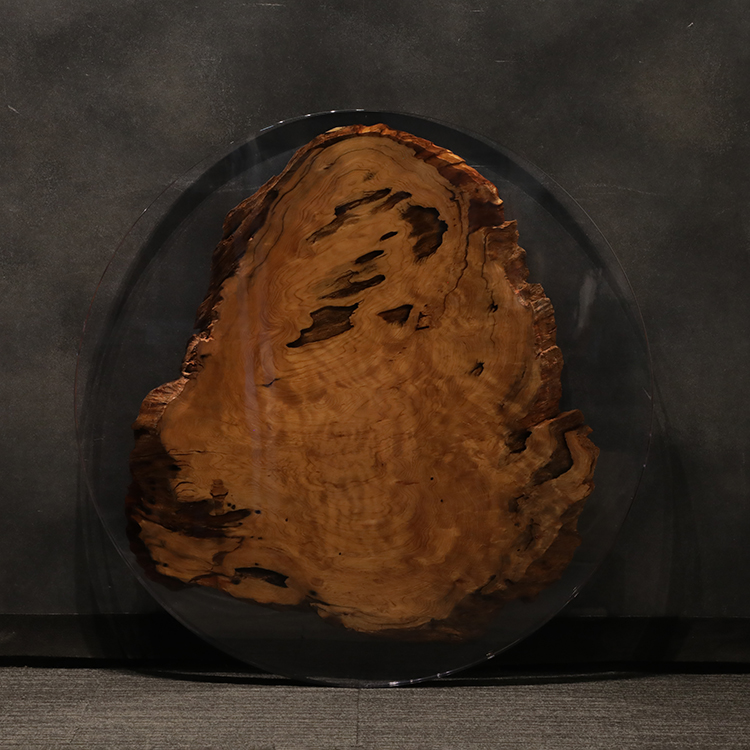 RESIN　ヤクスギ / 屋久杉　711-1　(W110cm)