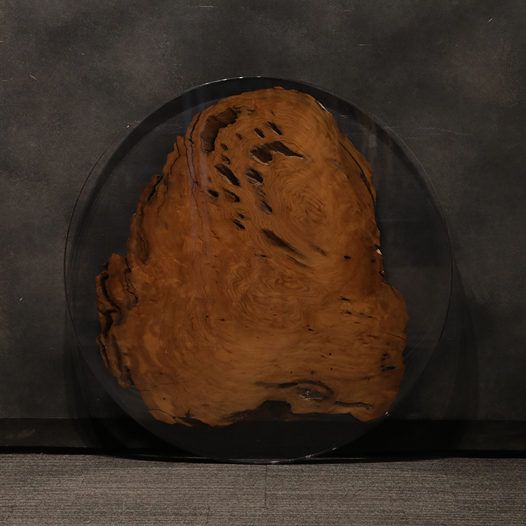 RESIN　ヤクスギ / 屋久杉　711-1　(W110cm)