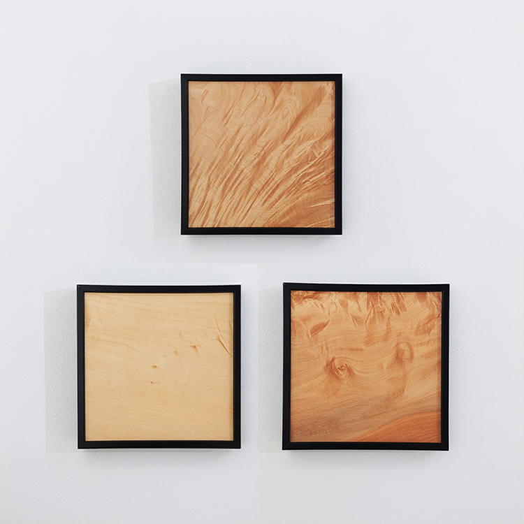 木製アートパネル（トチ）　3枚セット