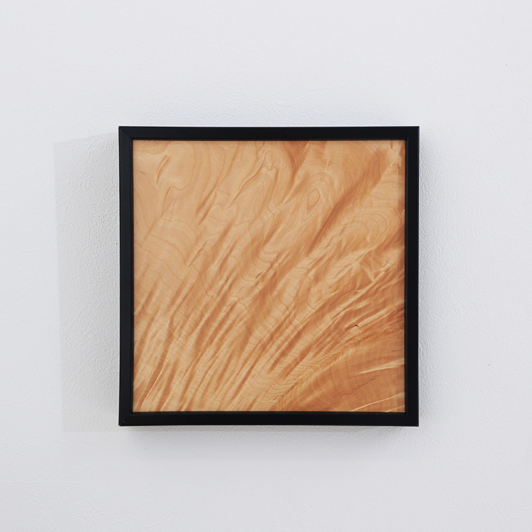 木製アートパネル（トチ）　3枚セット