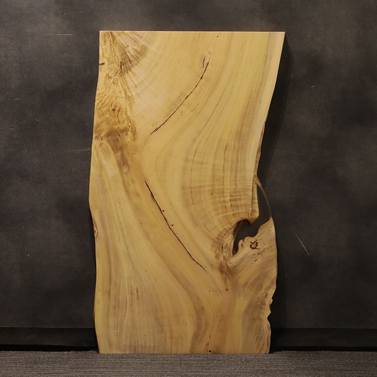 一枚板　ヨノキ / 榎　5312-6-1　(W150.3cm)