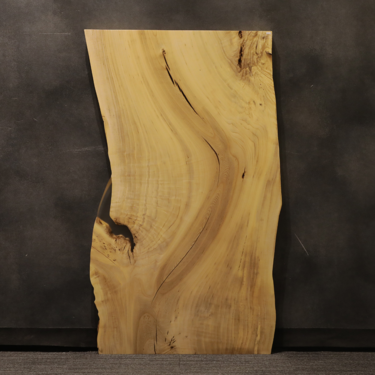 一枚板　ヨノキ / 榎　5312-6-1　(W150.3cm)