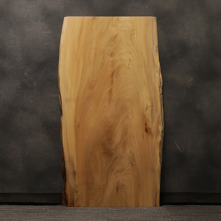 一枚板　クス / 楠　6189-2-1　(W160cm)