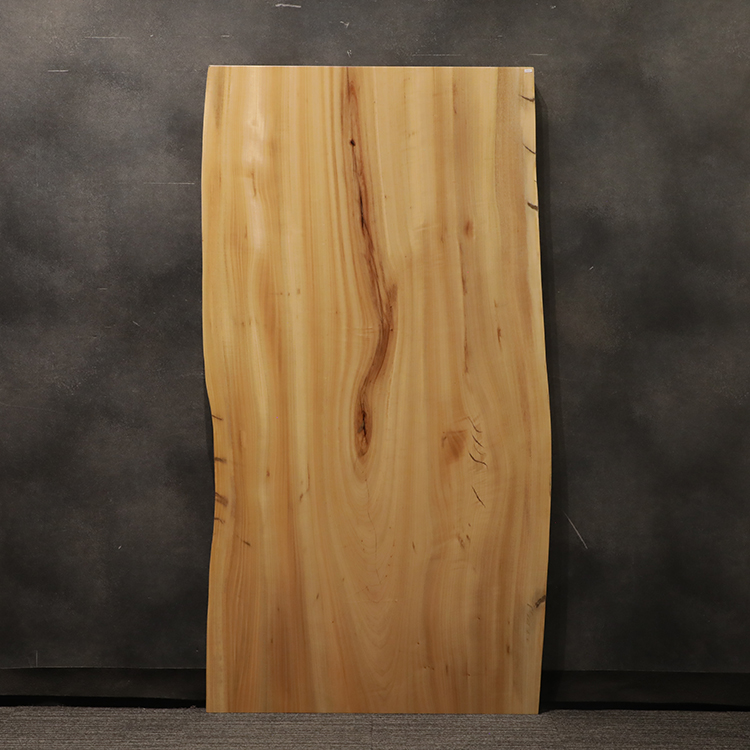 一枚板　クス / 楠　6189-12-2　(W180cm)