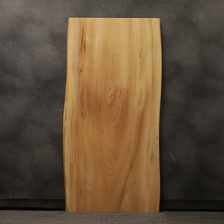一枚板　クス / 楠　6189-13-2　(W180cm)