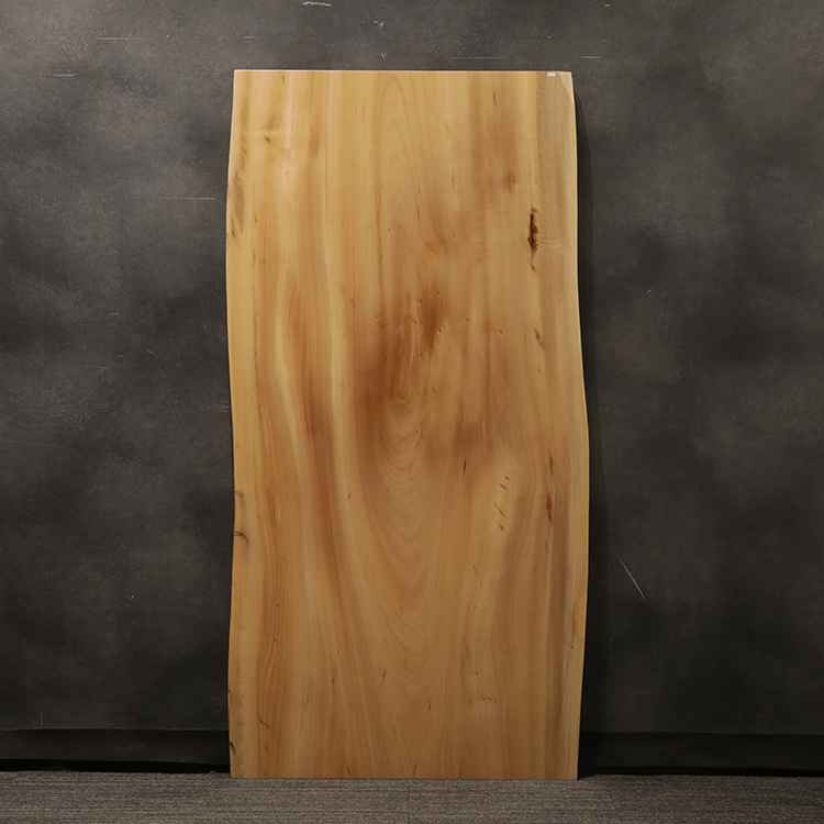 一枚板　クス / 楠　6189-13-2　(W180cm)