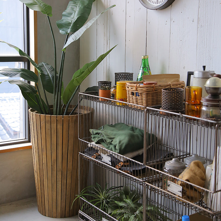 サン プランター[tok]