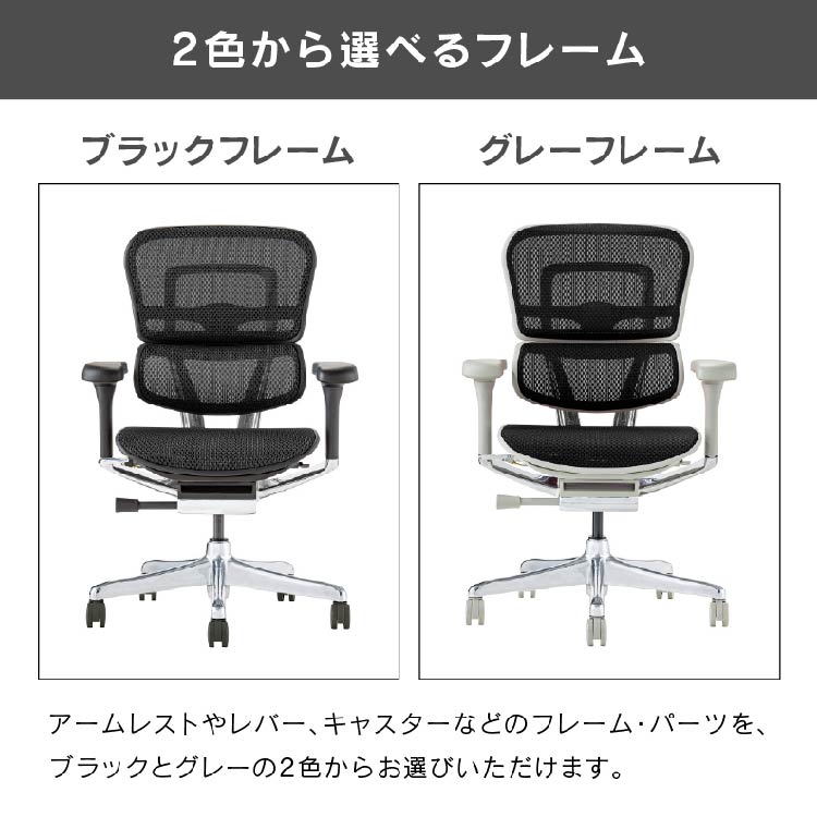 エルゴヒューマン プロⅡ ロータイプ 新基盤