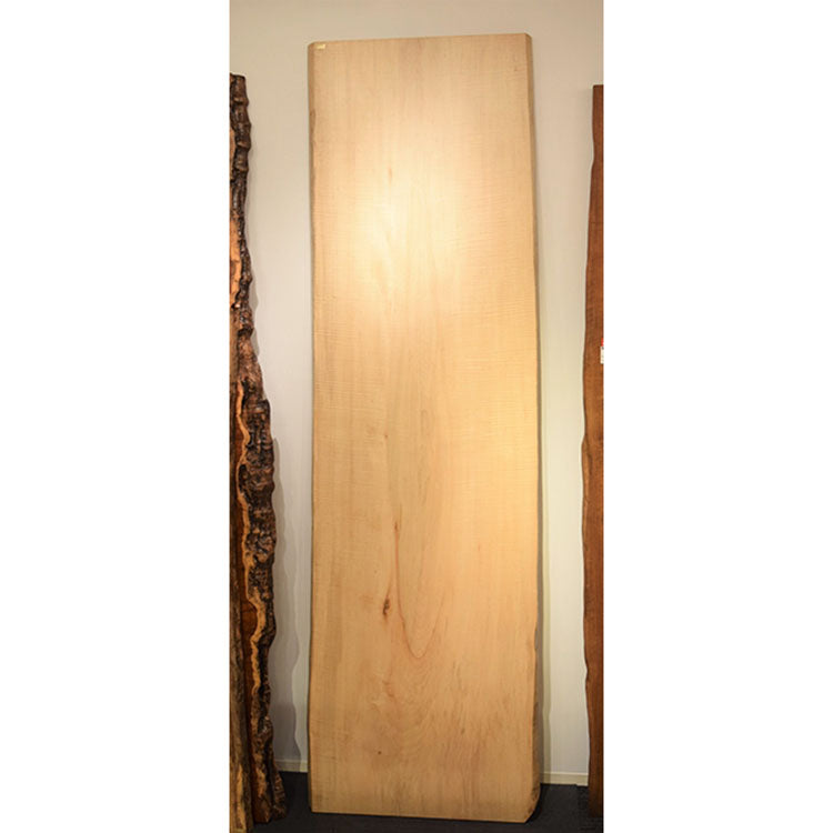 【SOLD OUT】アウトレット　一枚板　メープル　RP-3132-10　(W310cm)