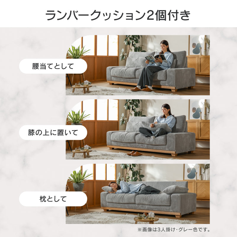 アイモ 2P IV ｜家具・インテリア通販の関家具【公式】