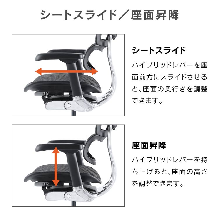 エルゴヒューマン プロⅡ ロータイプ 新基盤