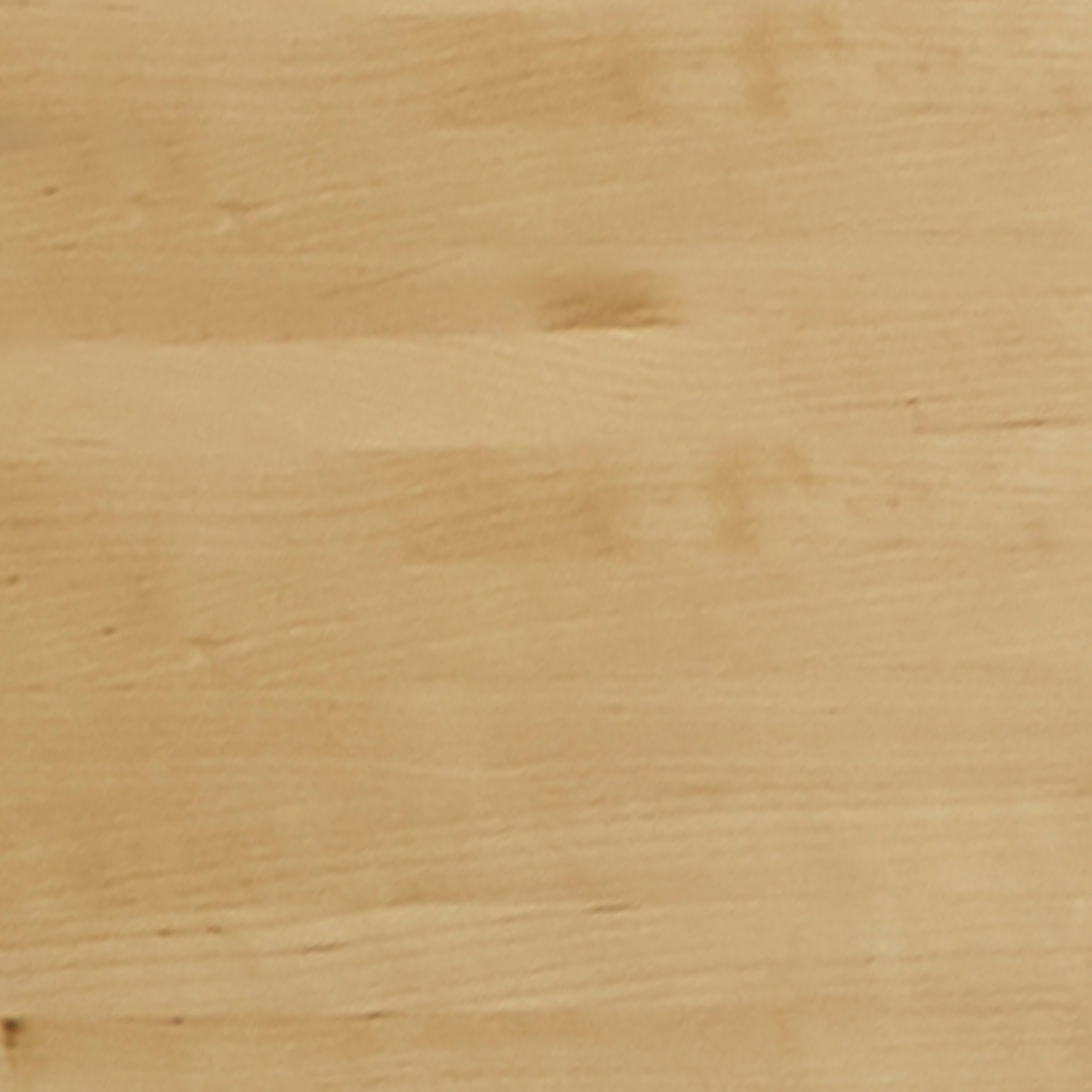 ノラ メンテナンスキッド