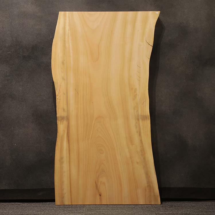 一枚板　クス / 楠　5441-4　(W150cm)