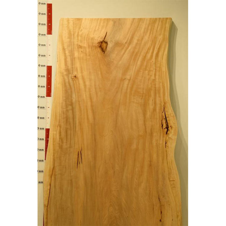 一枚板　トチ　RP-CN-1-2810　（W255cm）　ダイニングテーブル