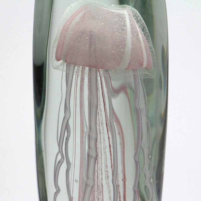 ジェリーフィッシュ トール ピンク
