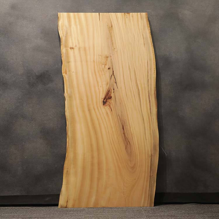 一枚板　クス / 楠　5441-9　(W180cm)