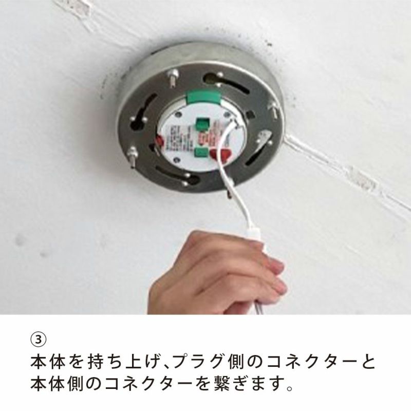 オレリア ランプ