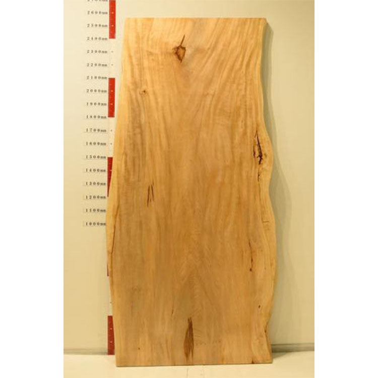 一枚板　トチ　RP-CN-1-2810　（W255cm）　ダイニングテーブル