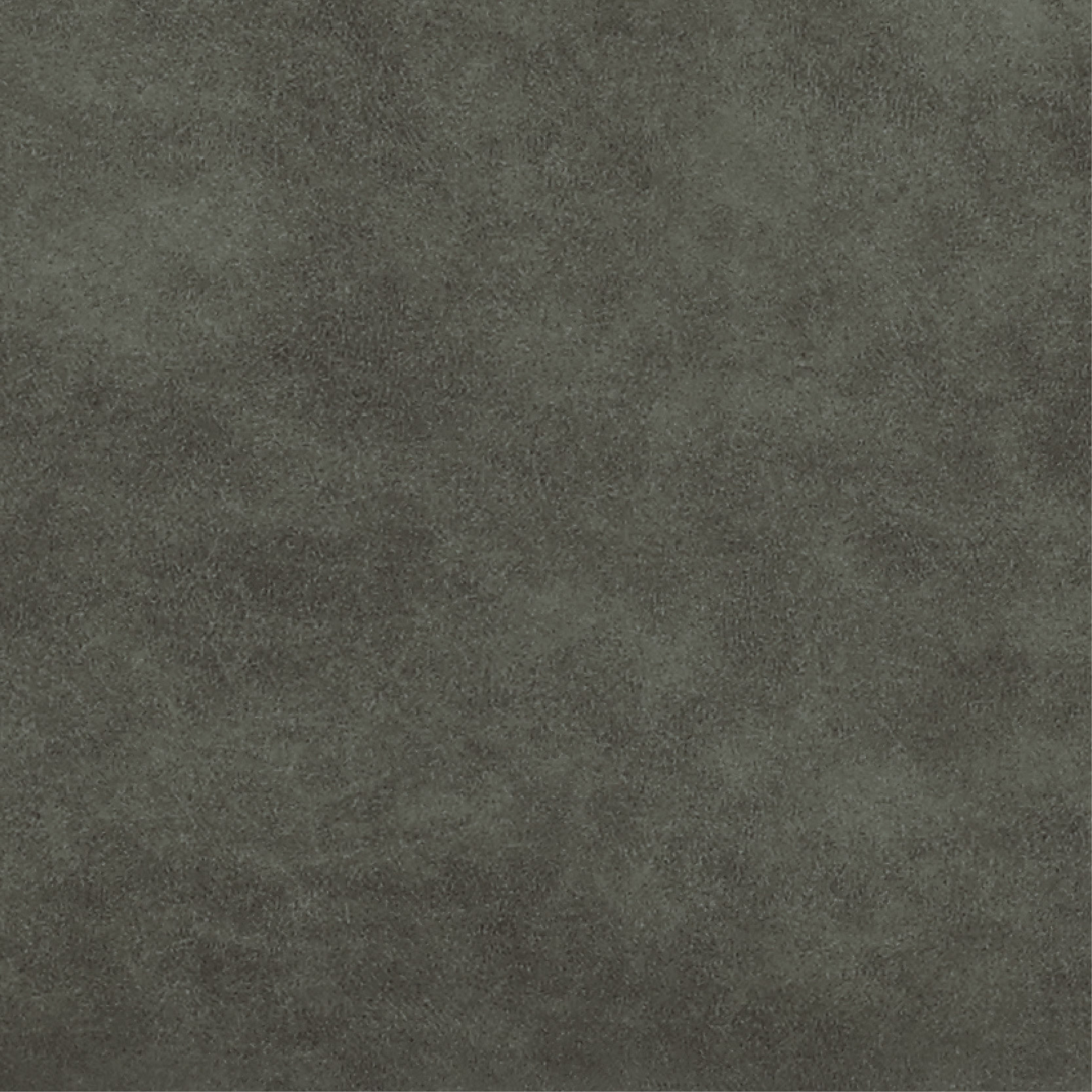 バード ダイニングチェア