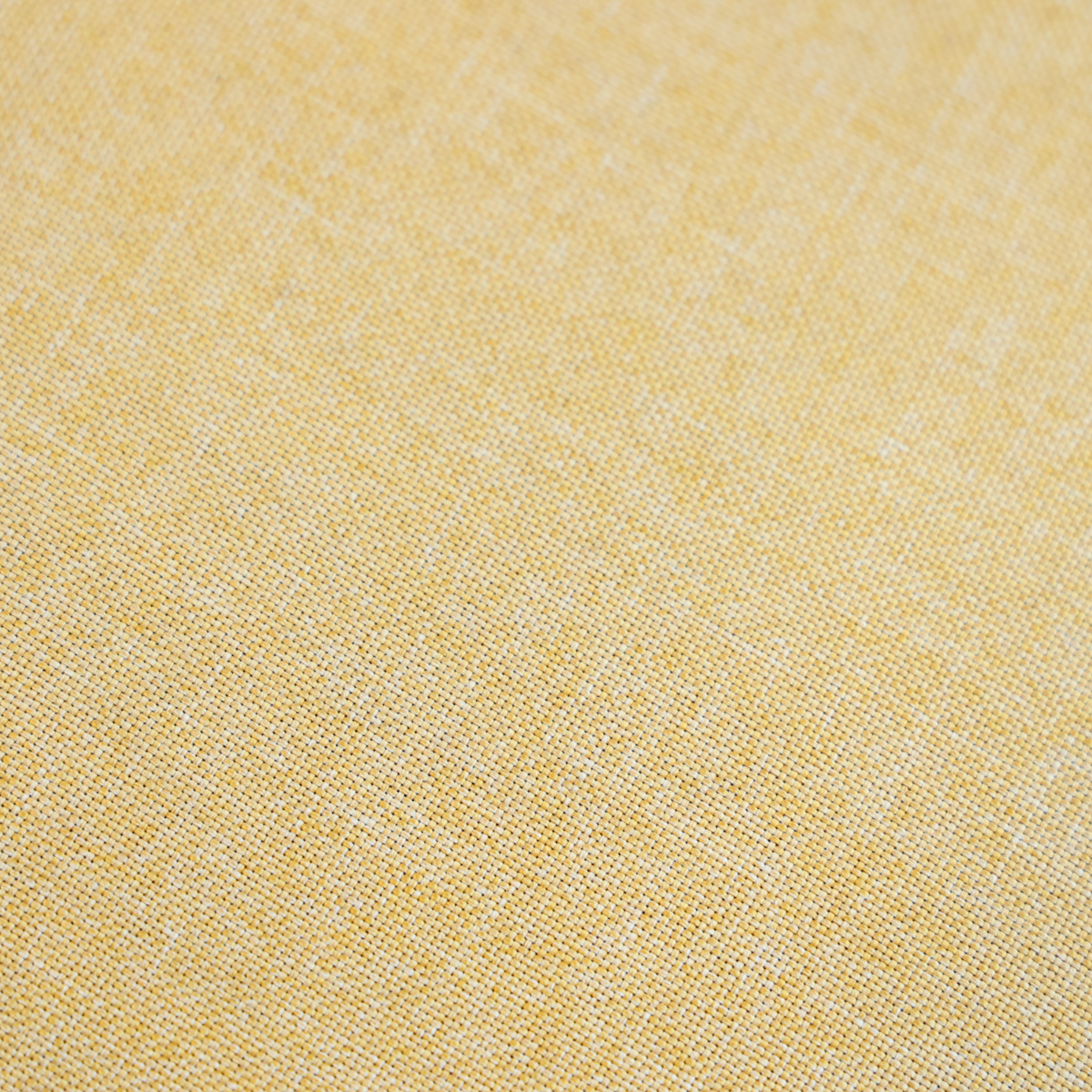 【限定】ミーティア スツール