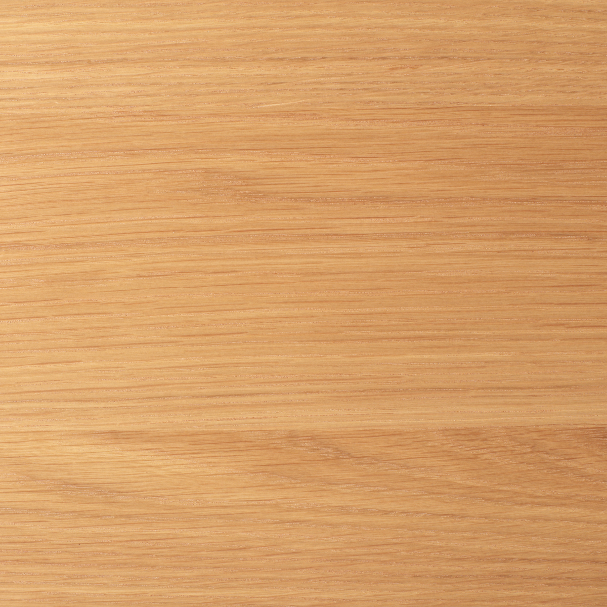 リプス ダイニングチェア